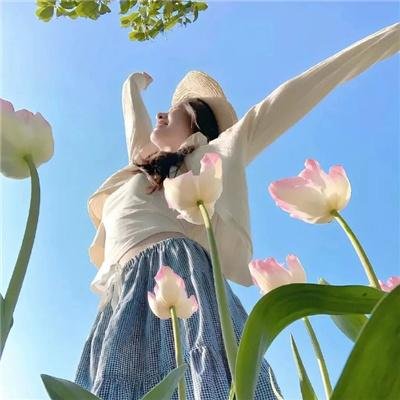 达迪·克拉维兹的学徒生涯